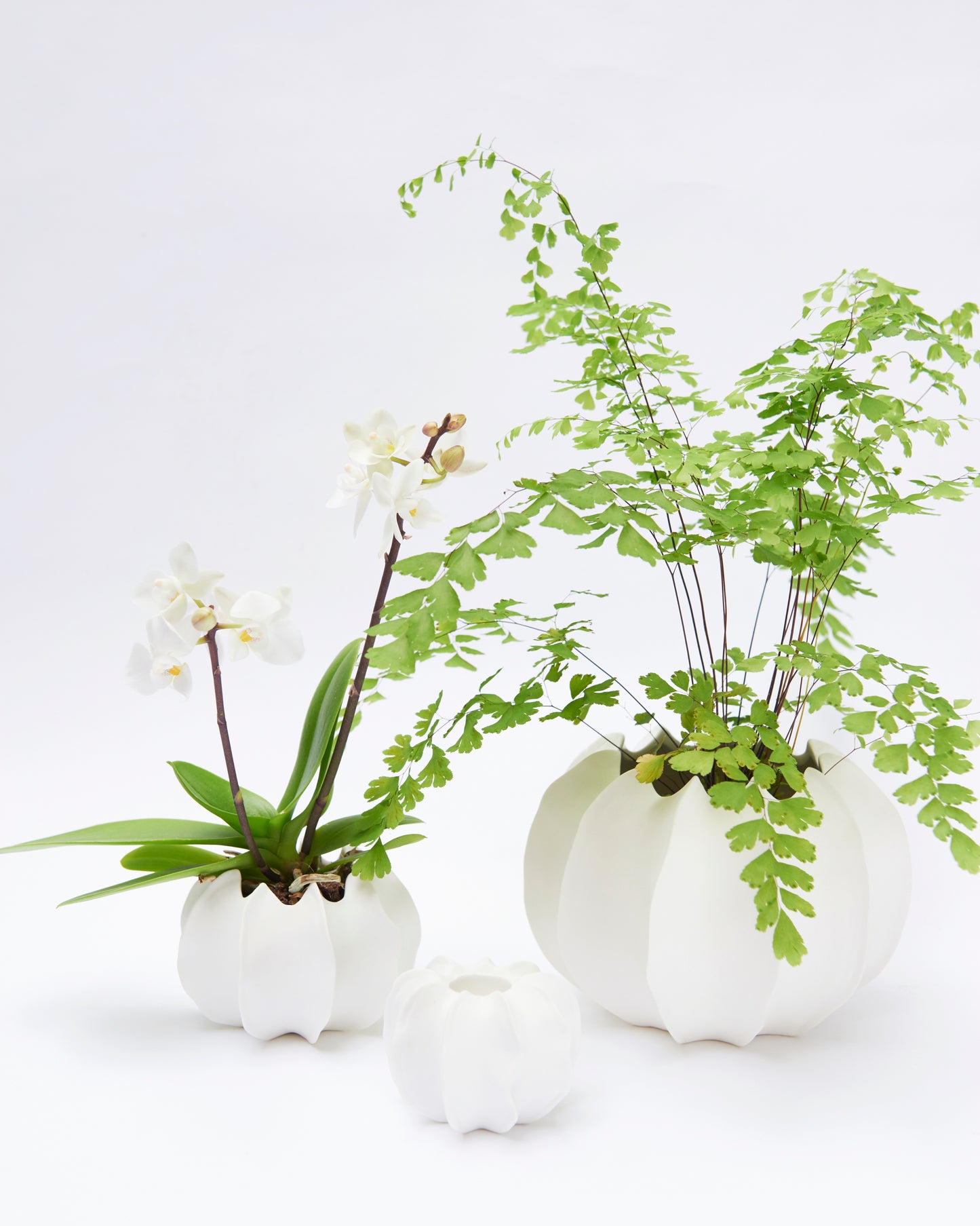 VASE POT VAYA H9,5