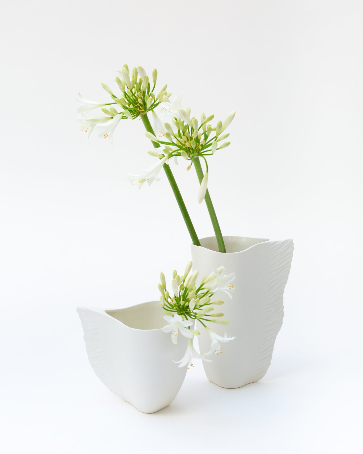 LOT DE 2 VASES VING