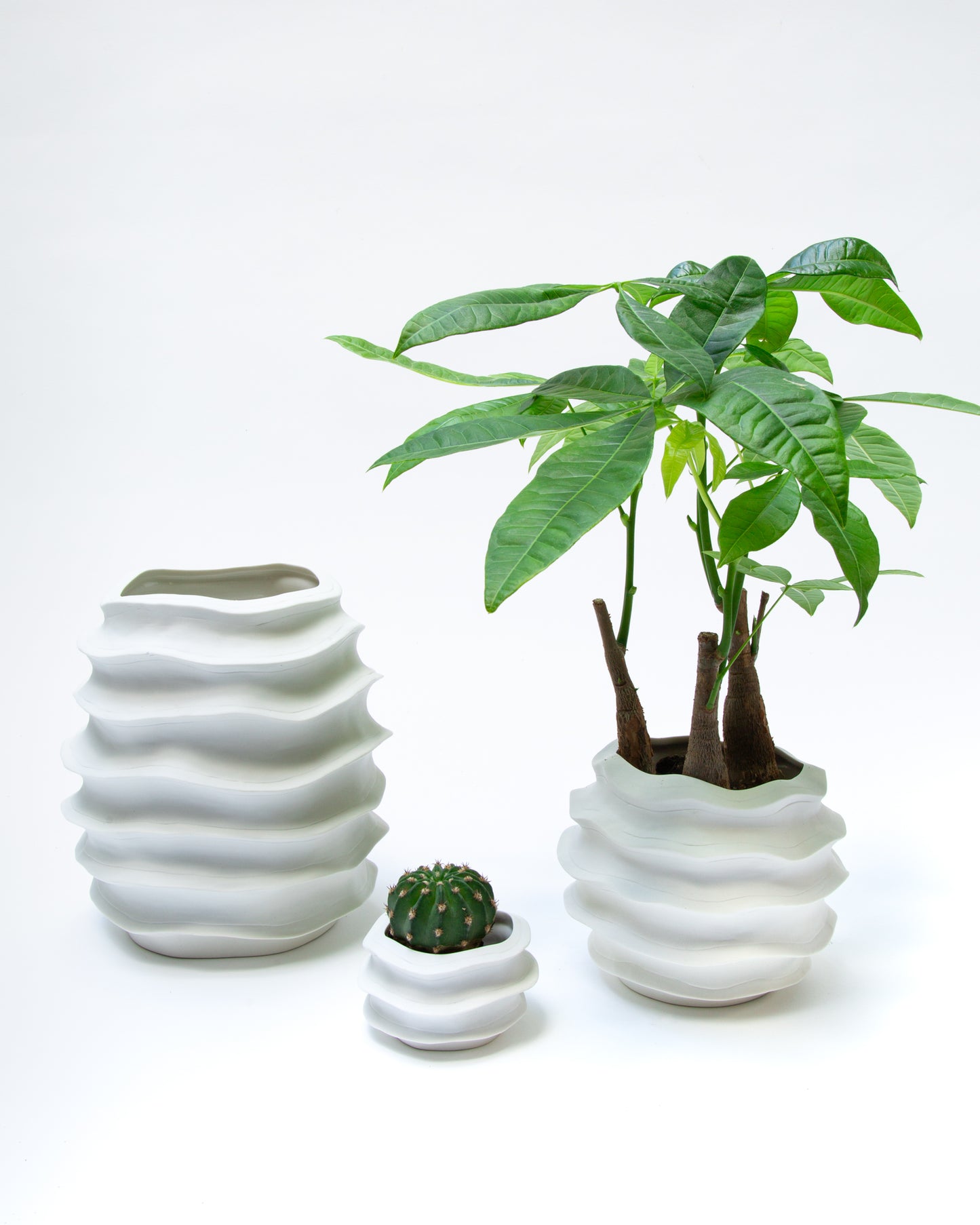VASE AYA