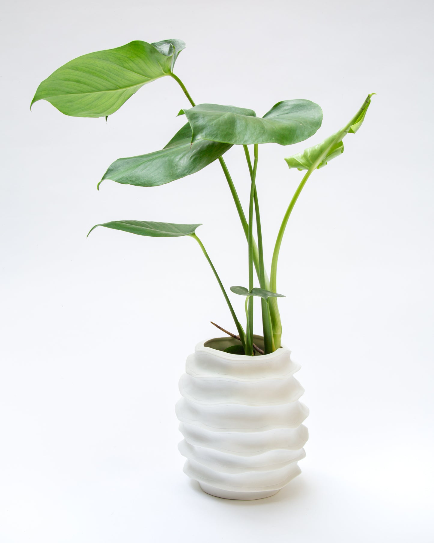 VASE AYA GRAND MODÈLE