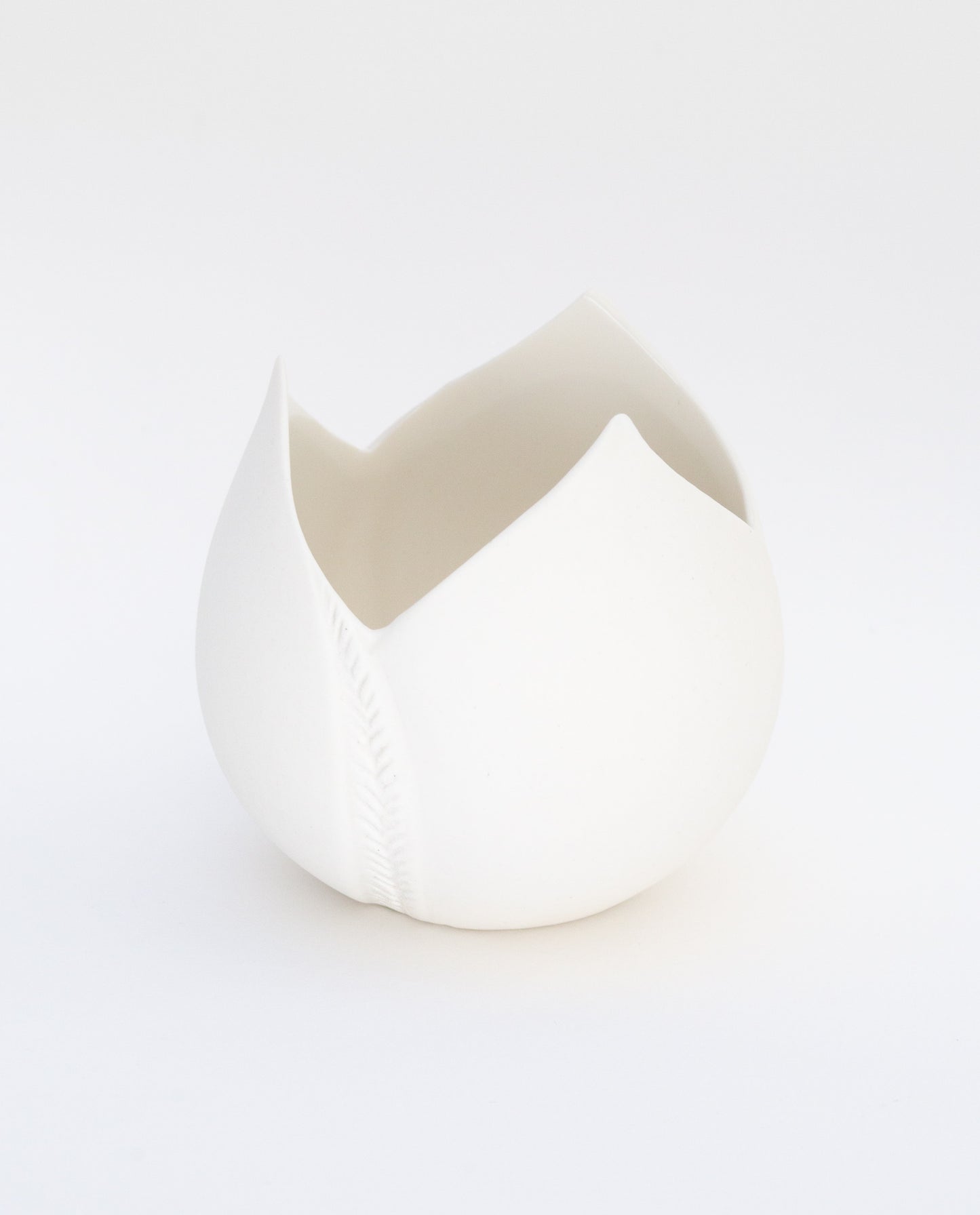 PHOTOPHORE TULIPE