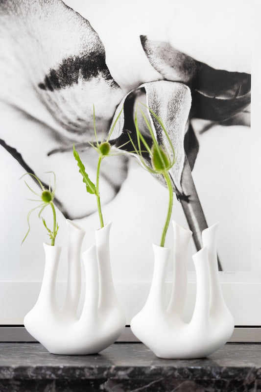 VASE DANCER