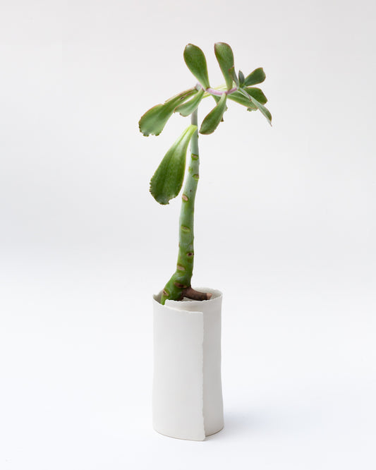 VASE ARK H19